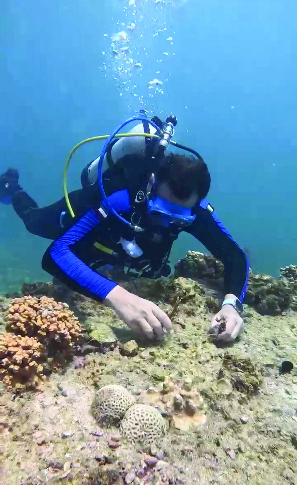 


التعامل بحرص وعطف مع «أيتام قاروه» 