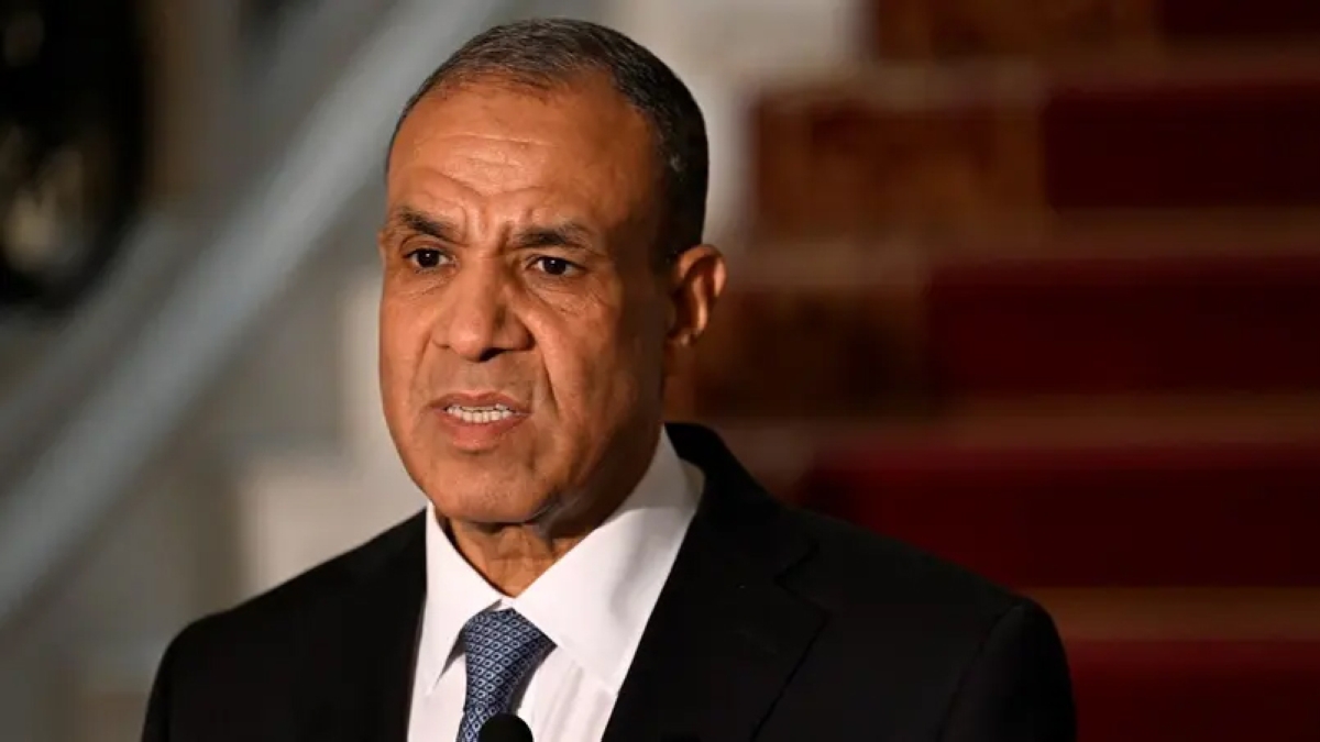 وزير الخارجية المصري بدر عبدالعاطي 