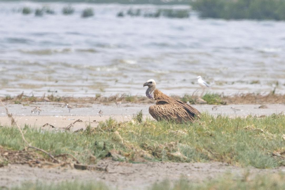  أظهر أهمية المحميات الطبيعية