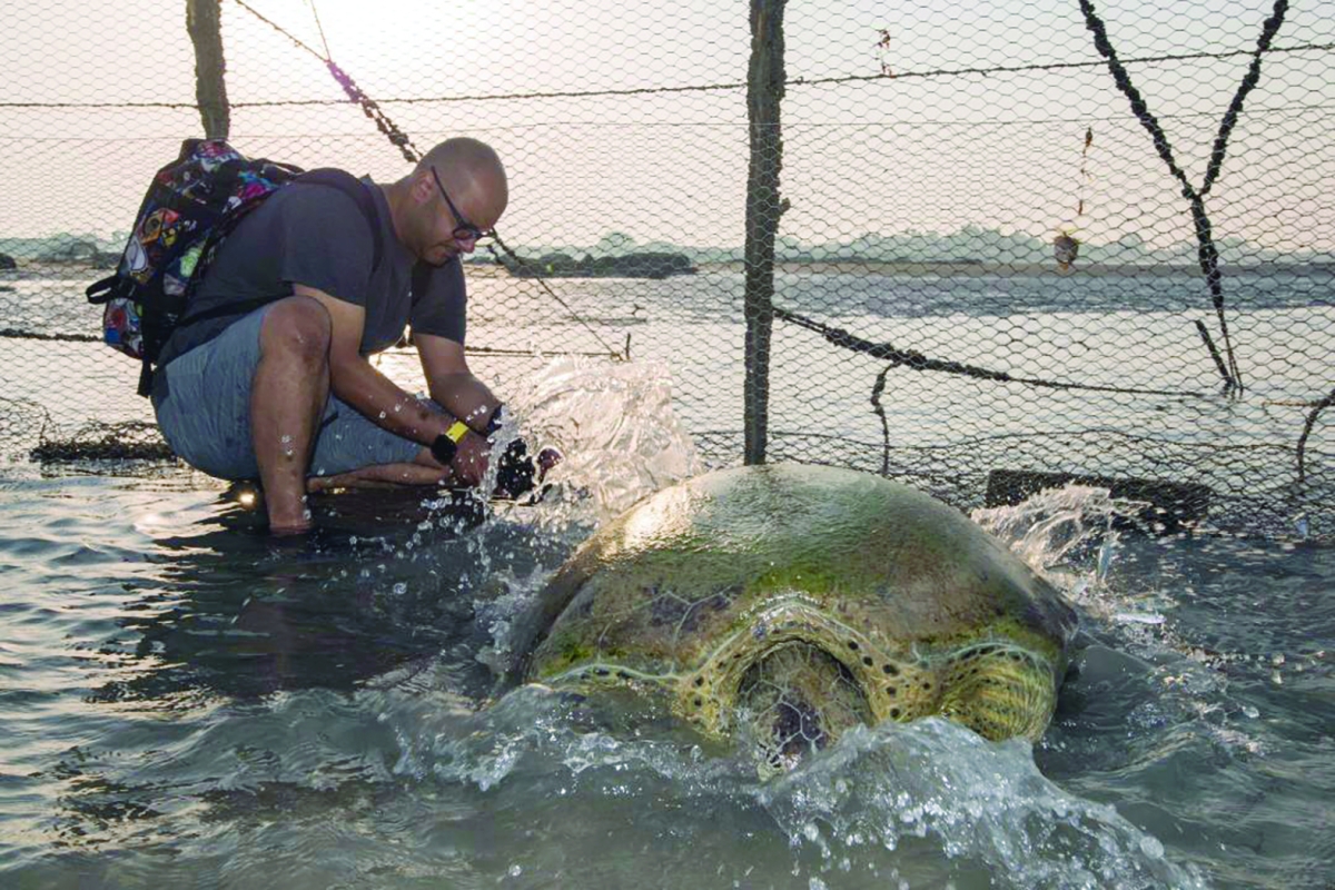 


الزيدان في صورة أرشيفية ضمن جهود الحفاظ على السلاحف 