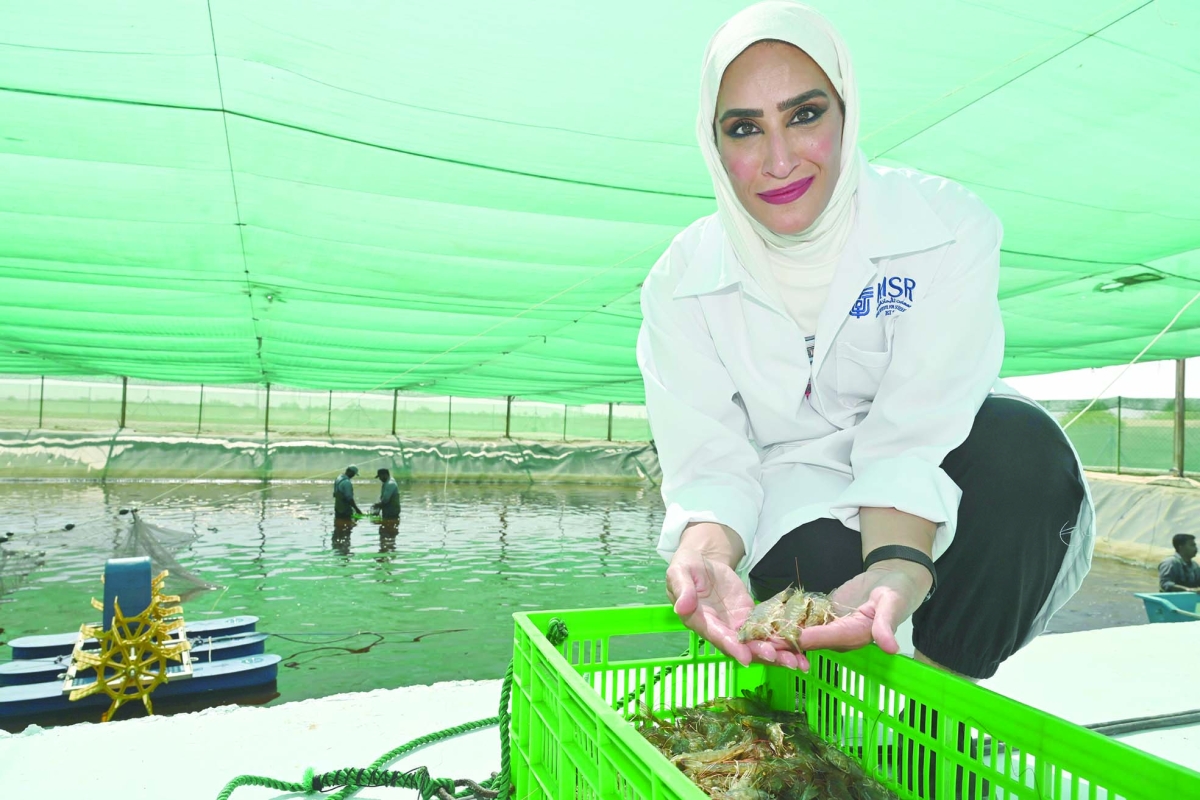 السبيعي... وفرحة النجاح في استزراع الروبيان