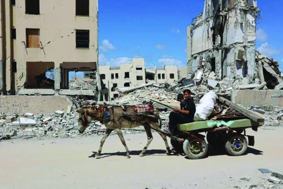 الحمير وسيلة نقل في غزة