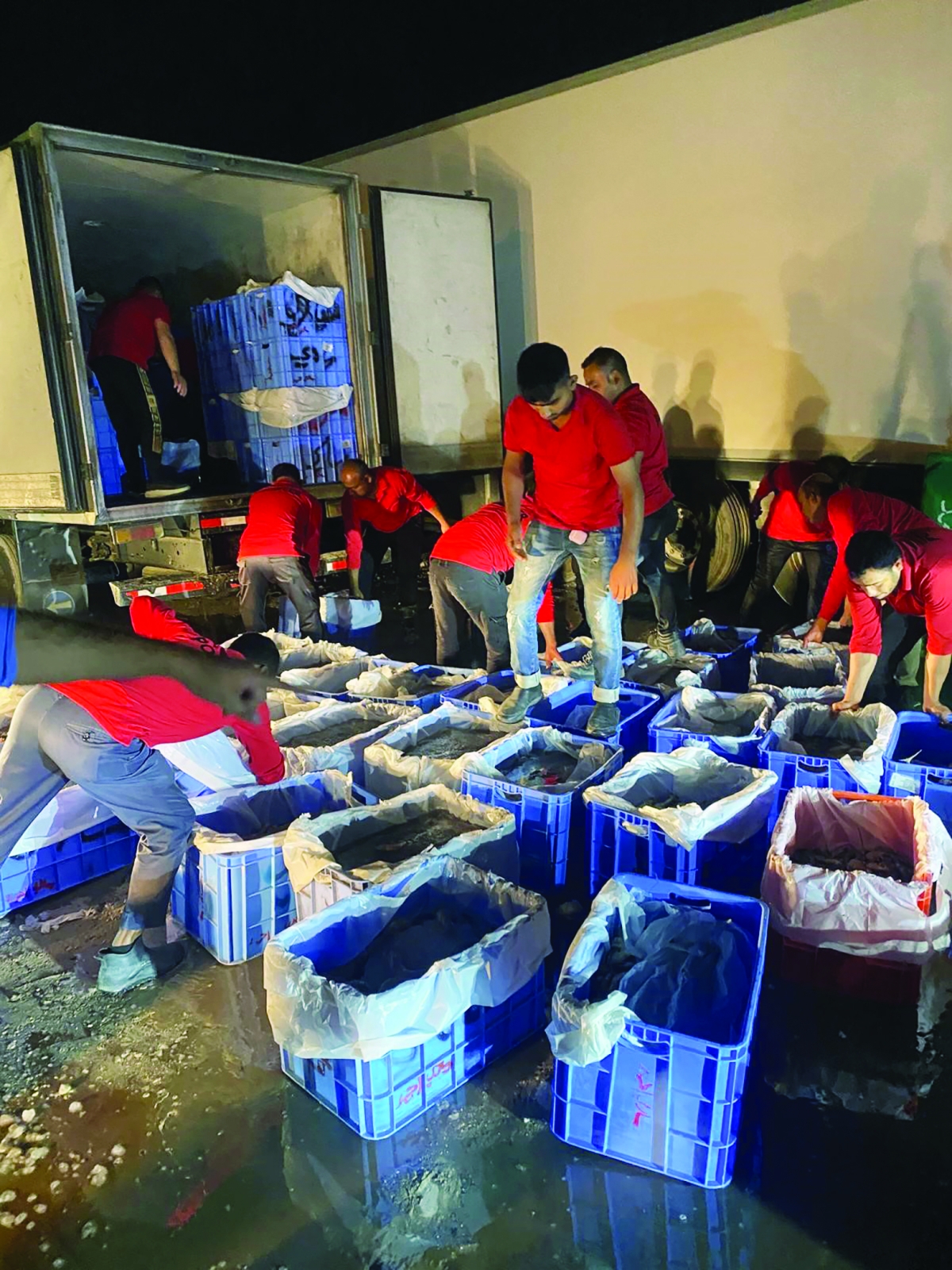 ضبط الأسماك قبل بيعها في الأسواق