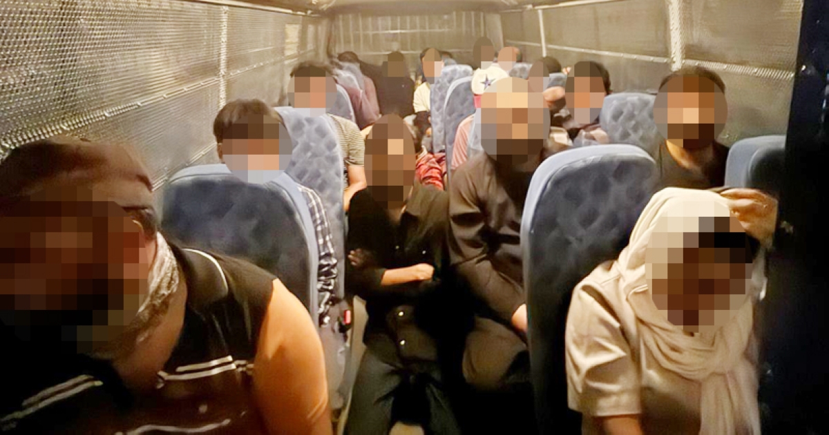 عدد من المضبوطين