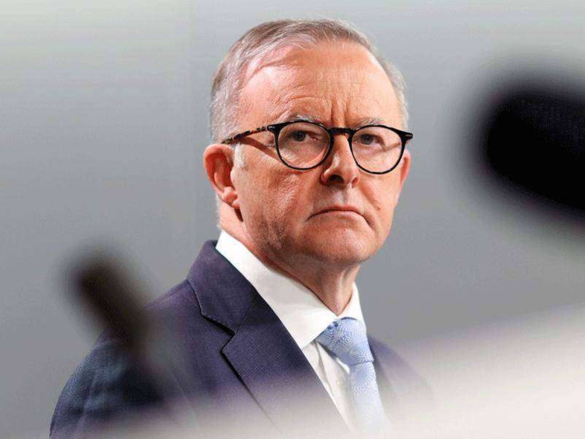 أنتوني ألبانيزي 