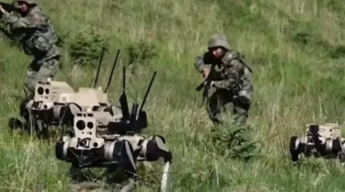 «الذئاب القاتلة»