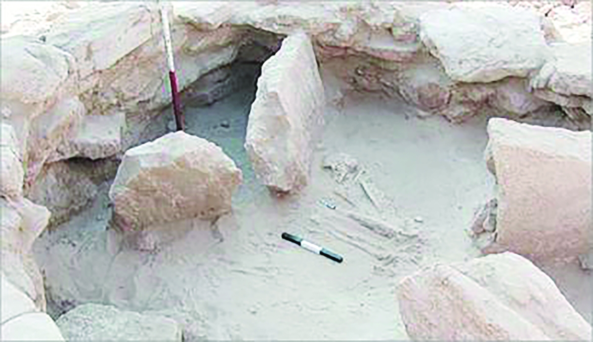 


من عمليات التنقيب والكشف عن الآثار 