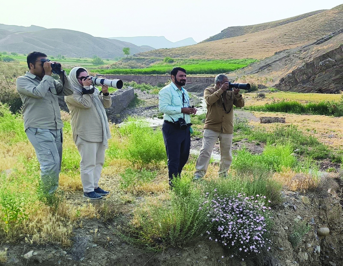 


محمد شاه (أقصى اليسار) وبجواره كرامت حافظي يرصدان طيور خوزستان وخراسان 