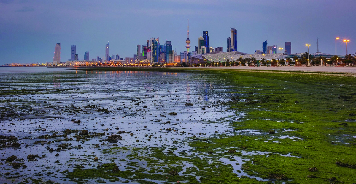 


«الباركود» يساعد في معرفة أماكن وجود الطحالب الضارة ومنعها من التجمع 