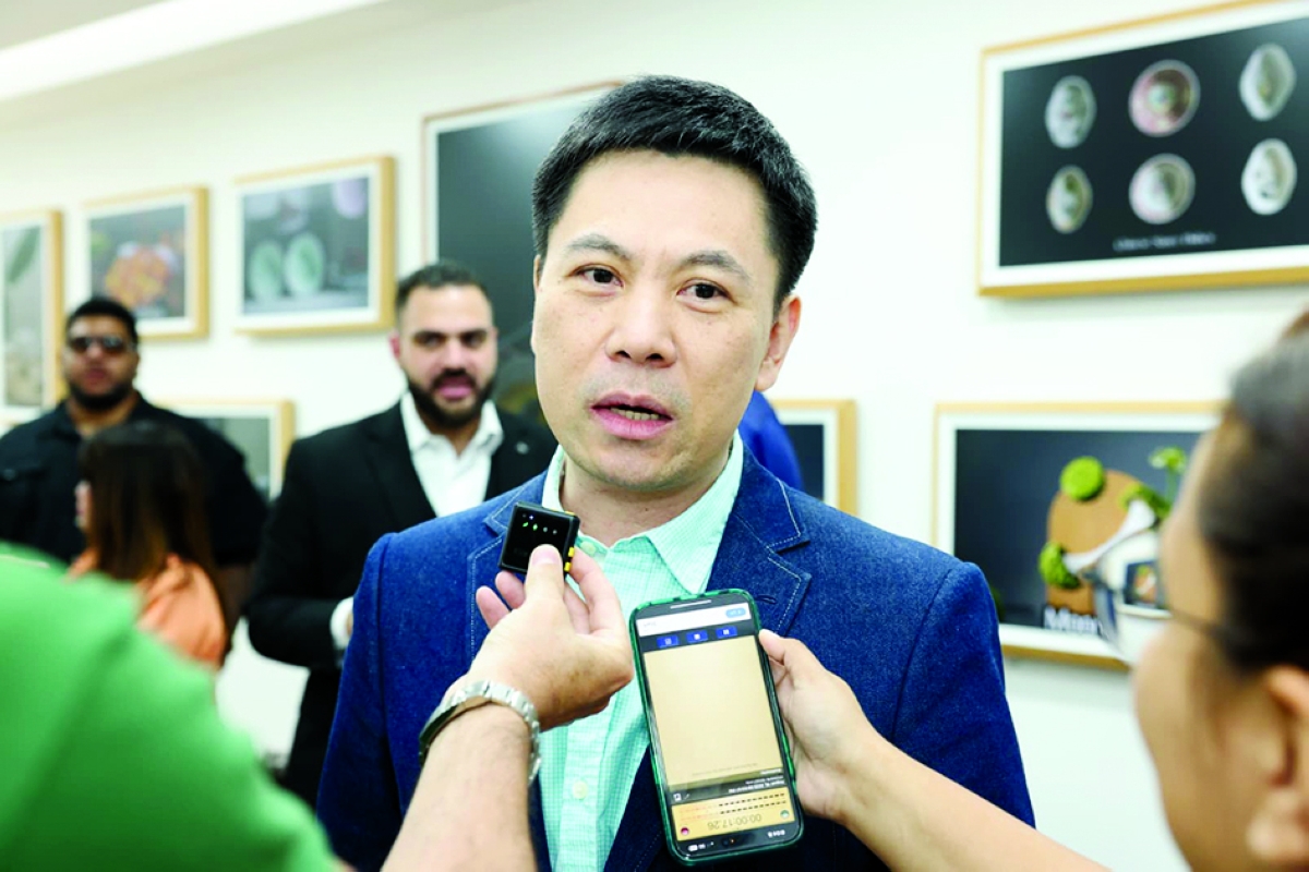 


ليو جين هونغ 