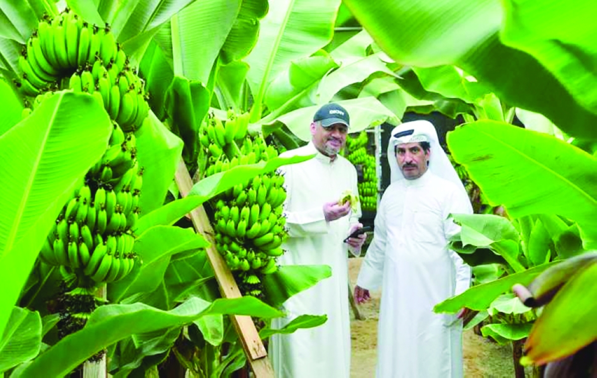 


العازمي والزميل ناصر الفرحان في لقاء العام الماضي 