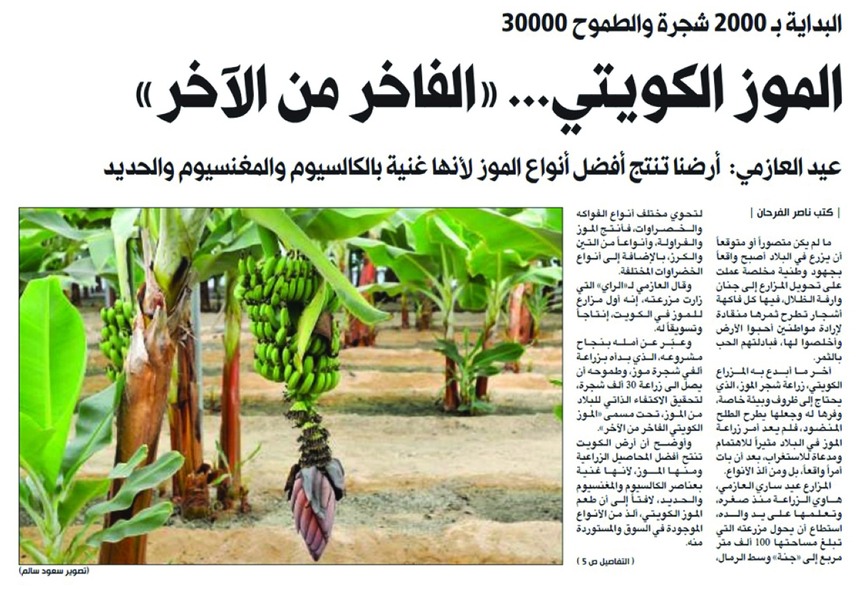 


خبر «الراي» في 19 يوليو 2024 