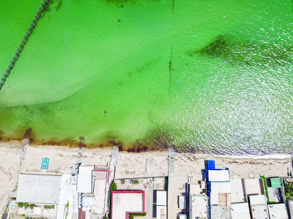 ملوثات زيتية من داخل البحر وصلت للساحل 