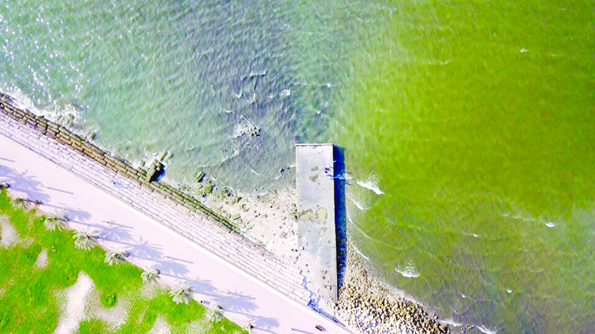 تلوث بسبب الصرف الصحي 