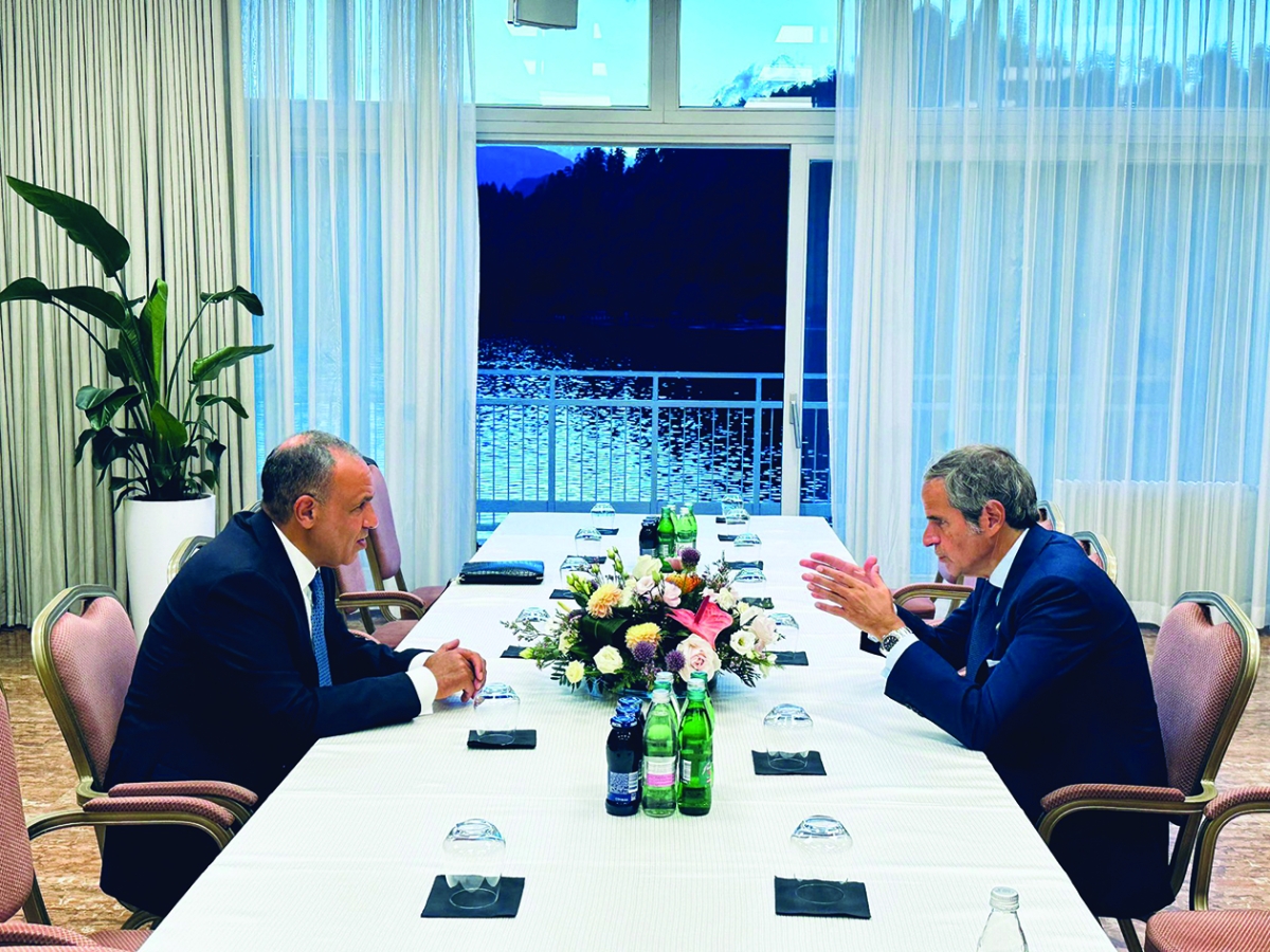 عبدالعاطي وغروسي خلال لقائهما على هامش منتدى بليد في سلوفينيا