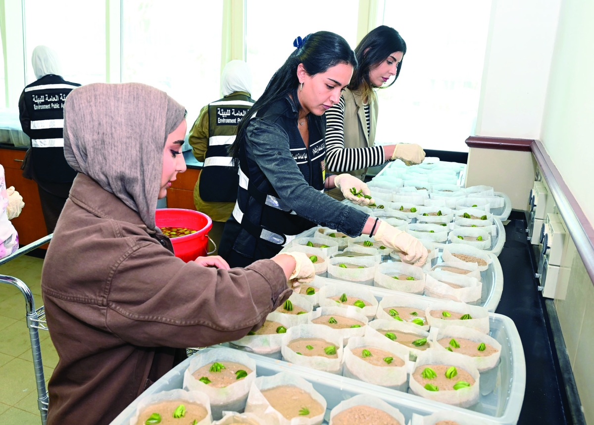 عمل جماعي لاستزراع بذور القرم