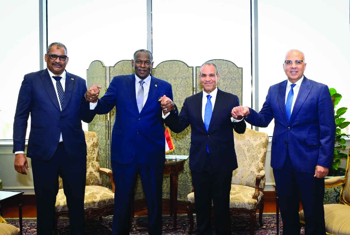 لقاء مصري سوداني في القاهرة