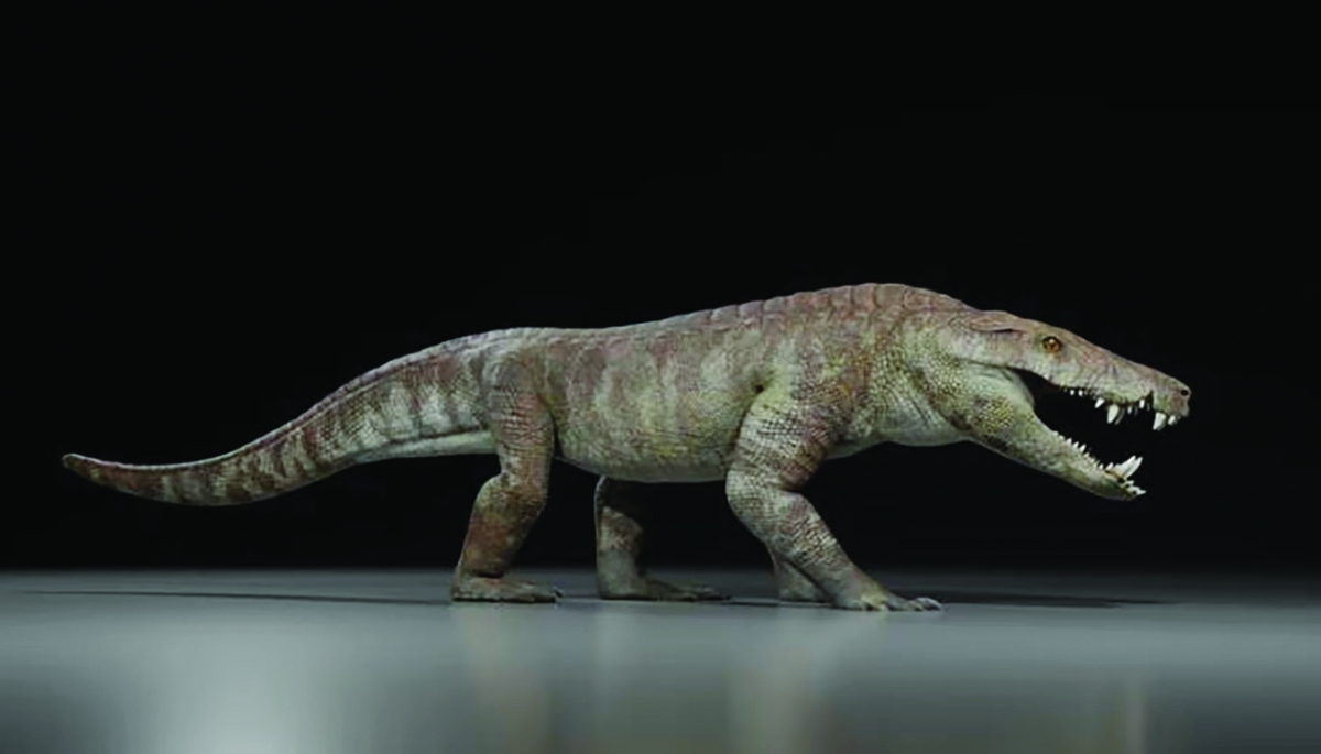 رسمة تخيلية للزاحف المكتشف