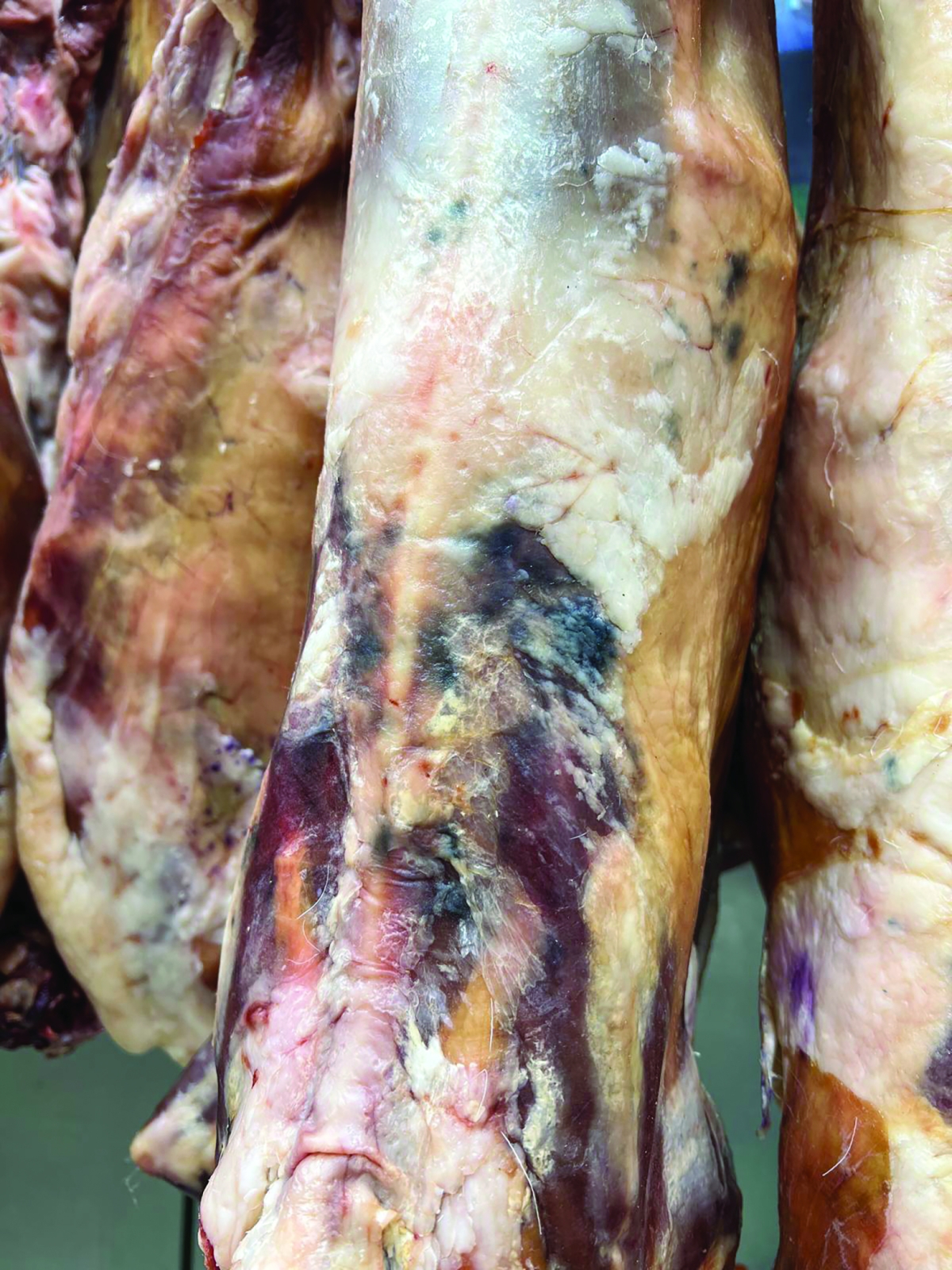 تغيّر اللون