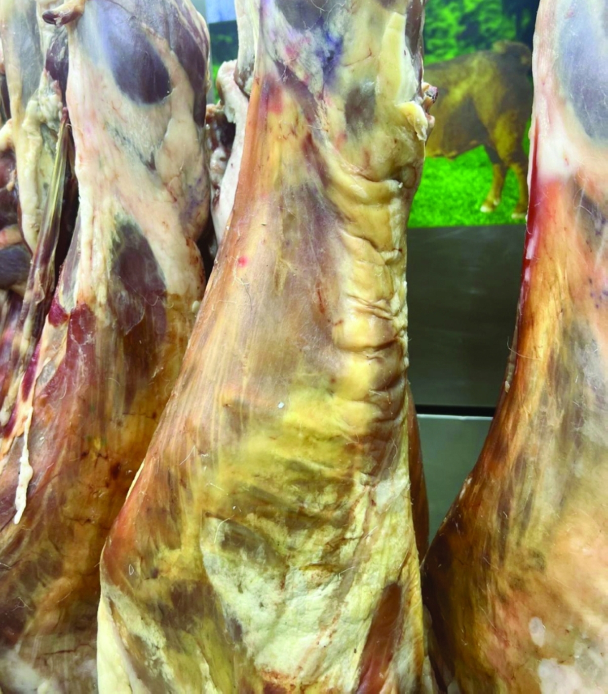 تغير الخواص الطبيعية 