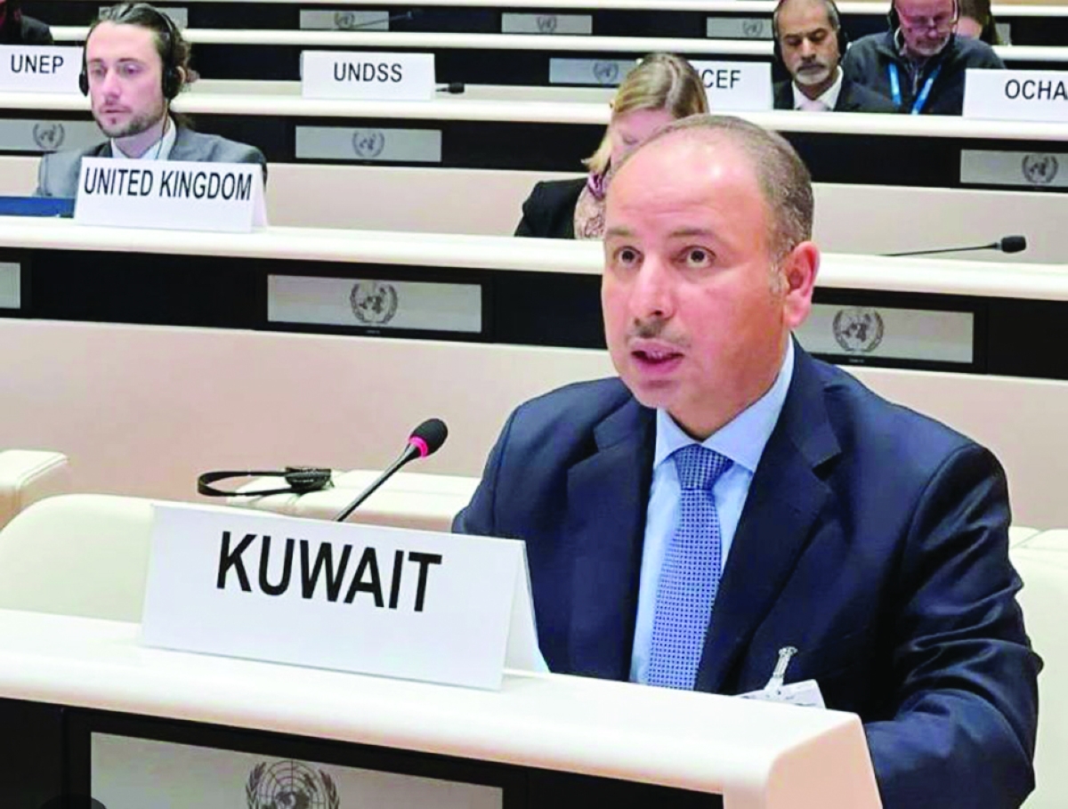 
السفير ناصر الهين 