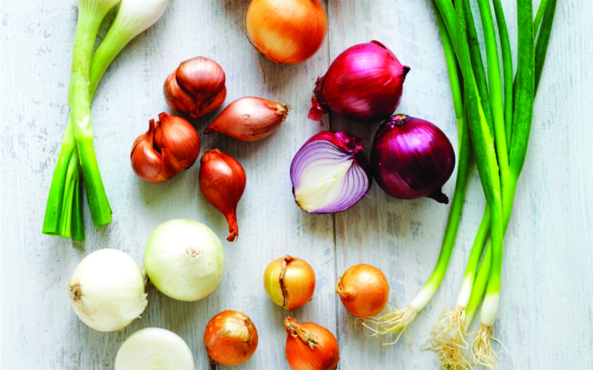 الاعتدال في تناول النوعين معاً