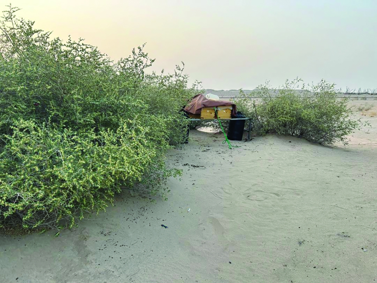 التجهيز للبدء في توسعة جديدة لفيضة السديرات