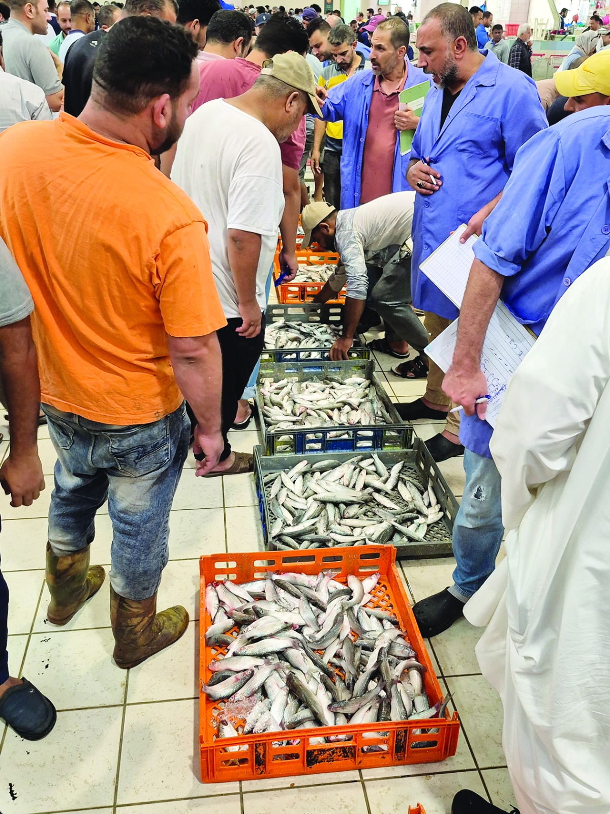 بواكير الميد في سوق السمك اليوم	 (تصوير نايف العقلة)