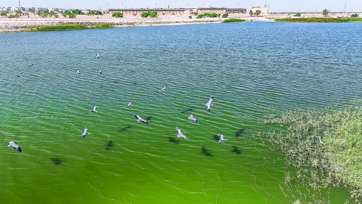 أمطار موسمية رسمت لوحة فنية