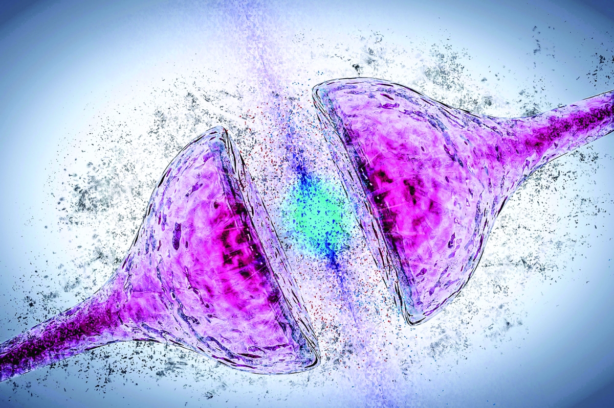 العلماء طوّروا جُزيء ببتيد يُثبّت «ألفا سينوكلين» في شكله الصحي