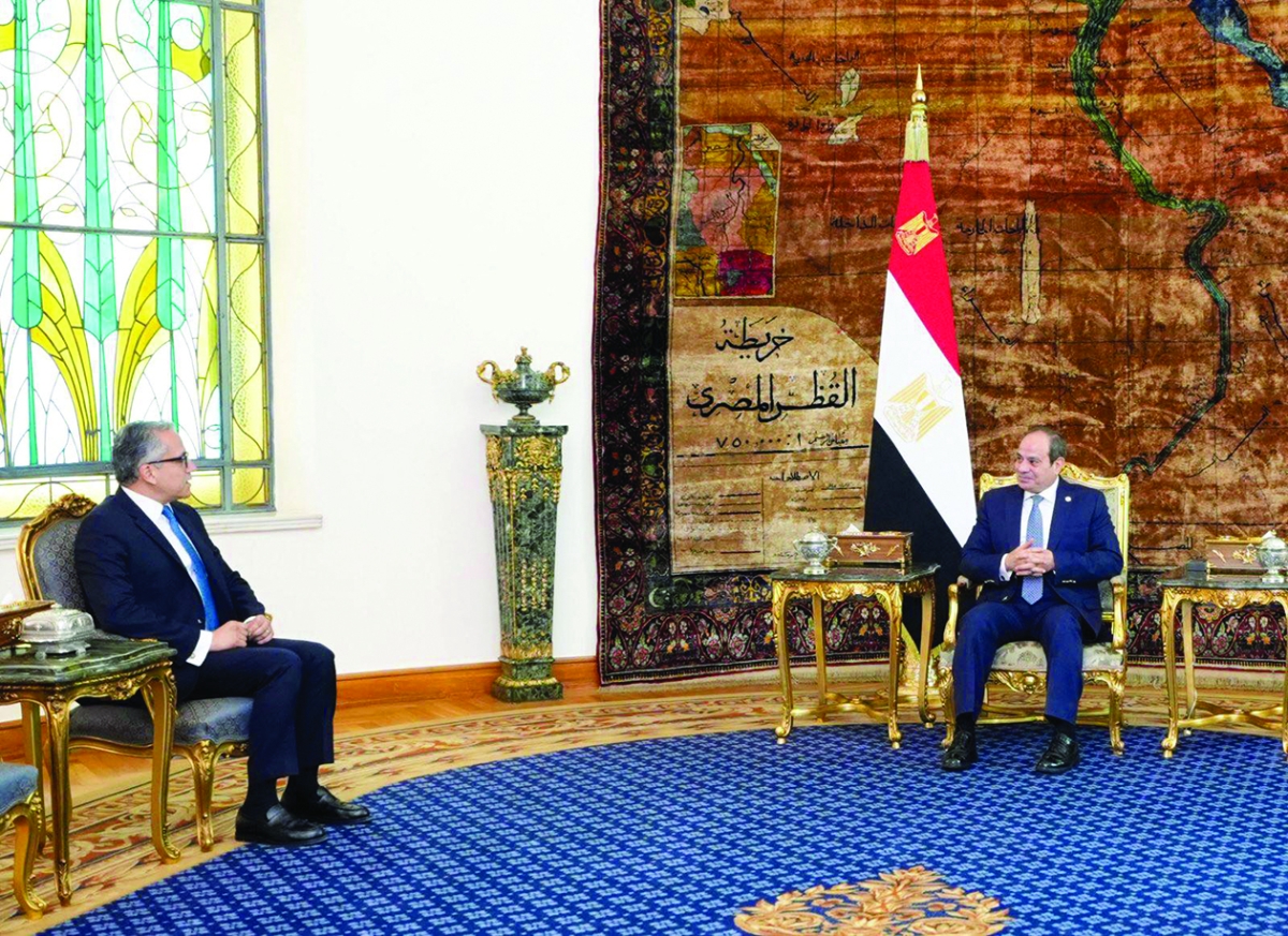 السيسي مستقبلاً العناني في القاهرة