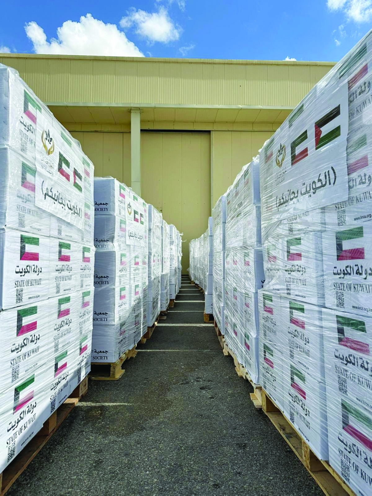 تفريغ حمولة الطائرة الـ 19 في مطار العريش