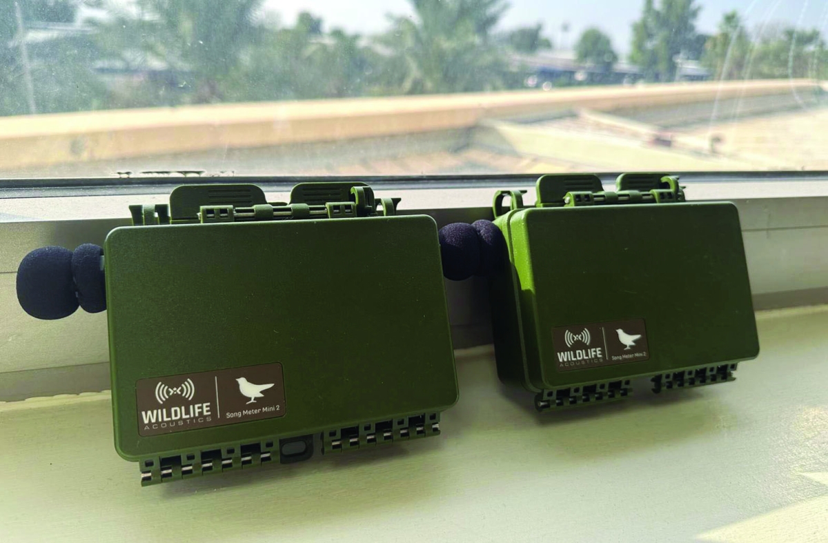 


أجهزة تسجيل لأصوات الطيور (أرشيفية) 