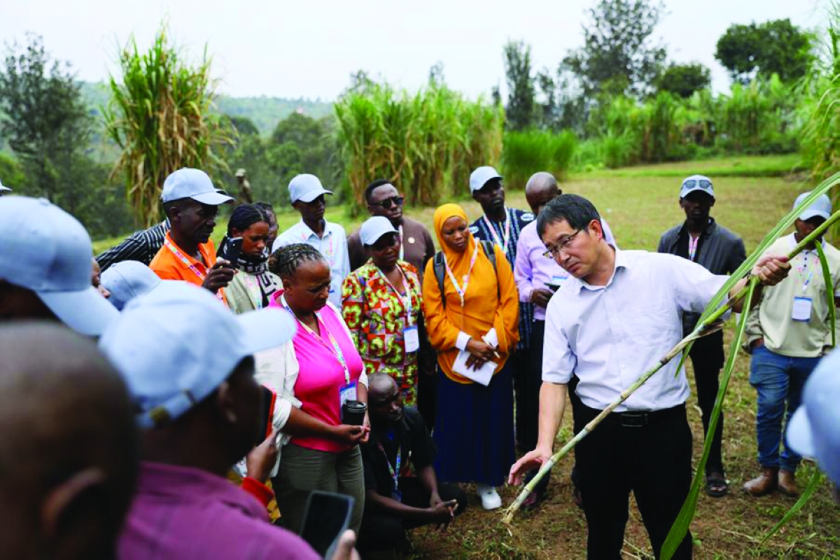 


الخبير الصيني في تقنية «جونتساو» لين هوي يشرح للمتدربين في المركز التجريبي للتكنولوجيا الزراعية الصينية - الرواندية في ناحية هوي - رواندا- في 17 يوليو 2025 (شينخوا) 