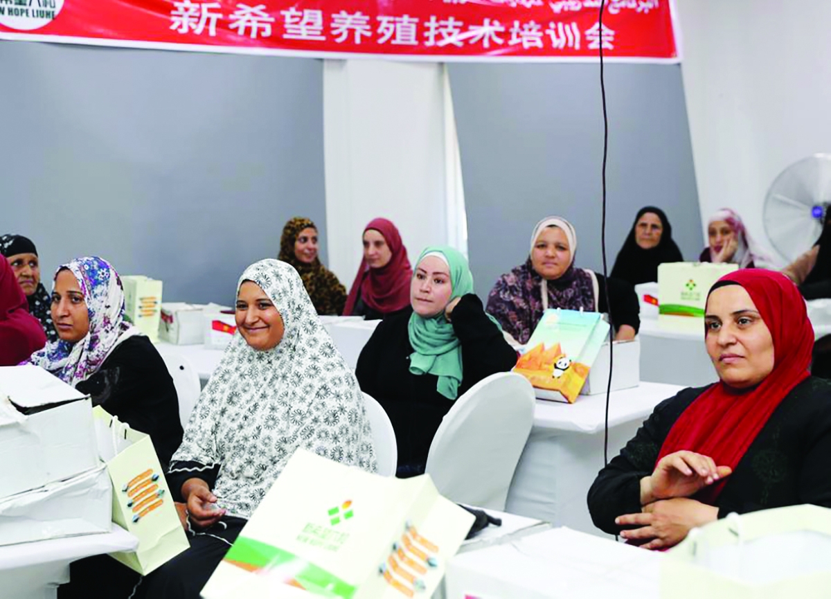 


سيدات يتلقين دورة تدريبية في تربية الدواجن بعد حفل إطلاق برنامج تدريبي في تربية الدواجن في محافظة المنوفية بمصر في 11 أغسطس 2025 (شينخوا) 