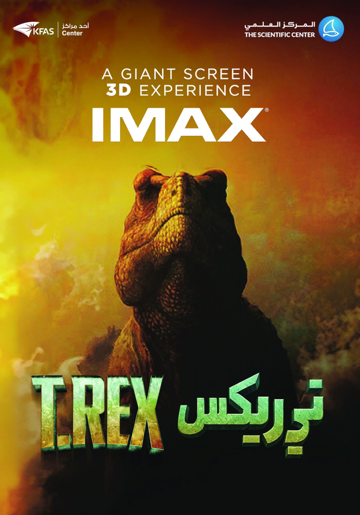 


ملصق الفيلم 