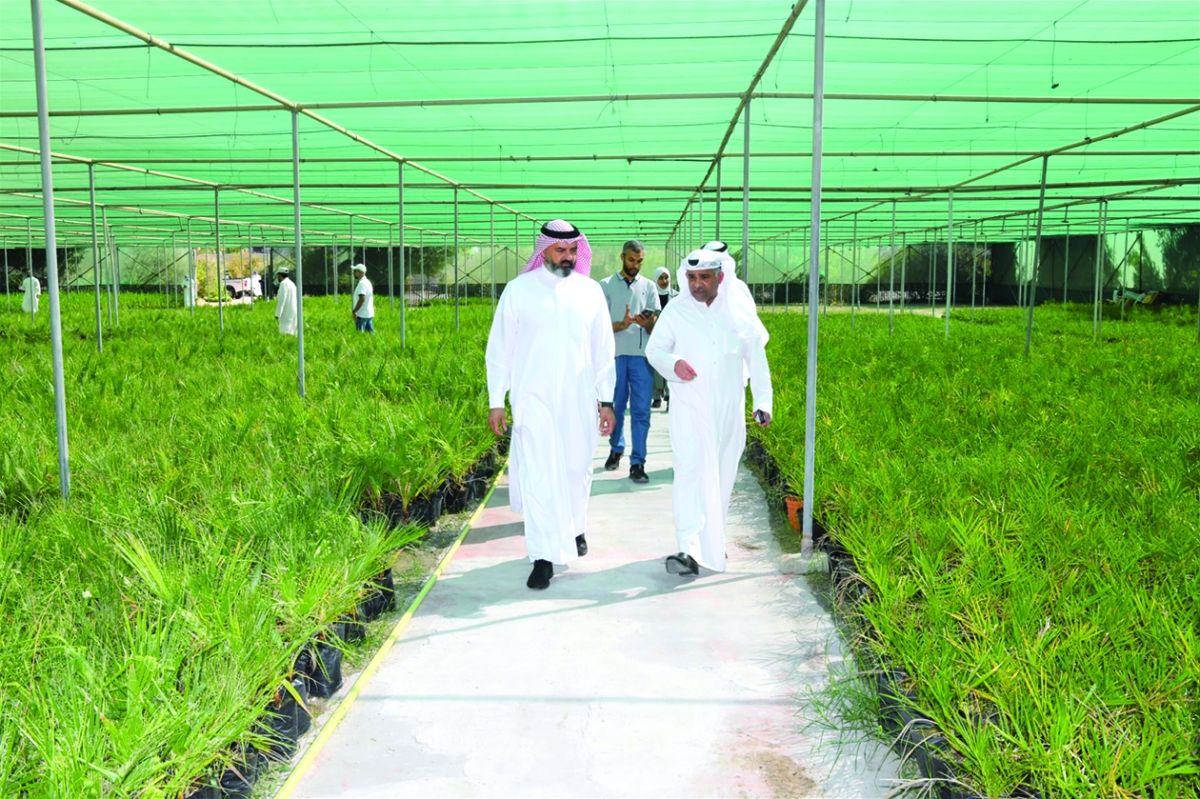 


الحاي أثناء جولته في المشتل 