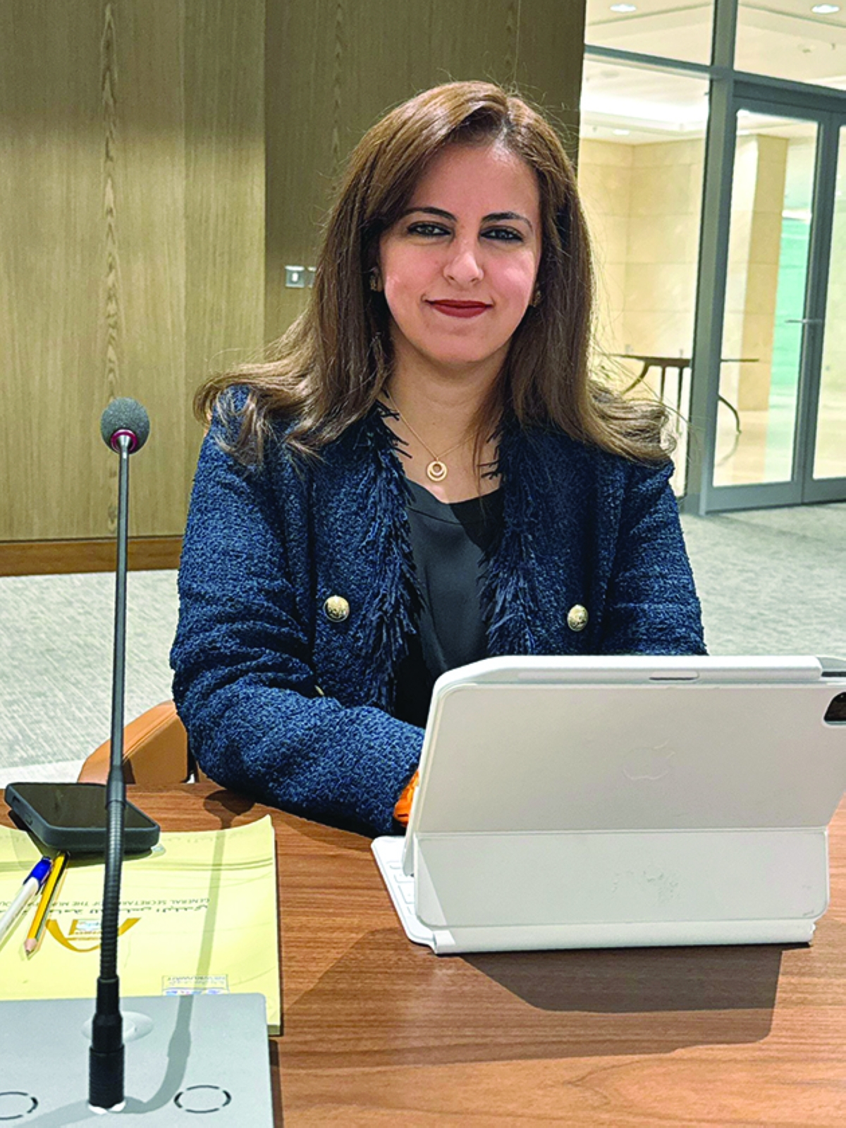 


منيرة الأمير 