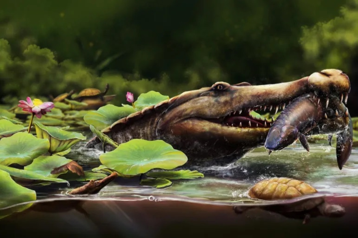 شكل تخيلي لـ «واديسوكس كسابي» 