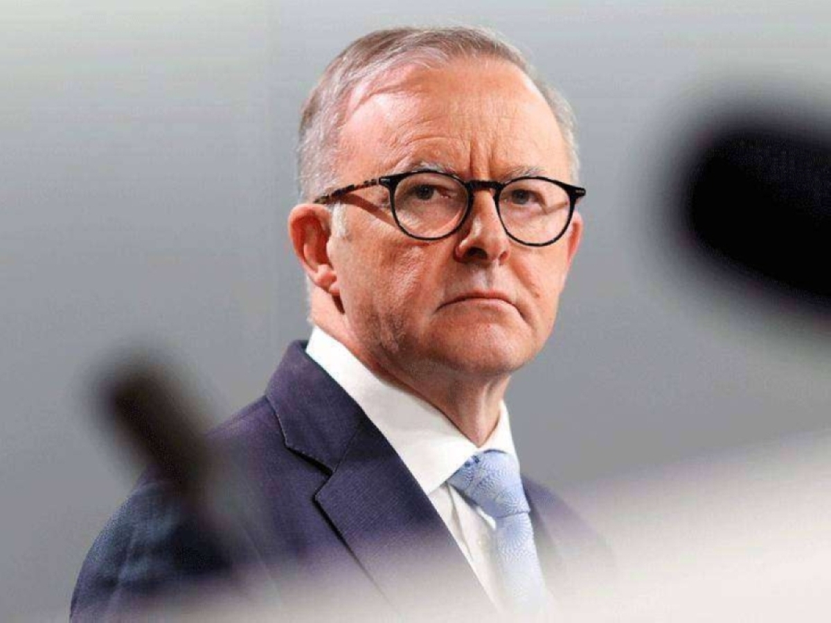 أنتوني ألبانيزي 