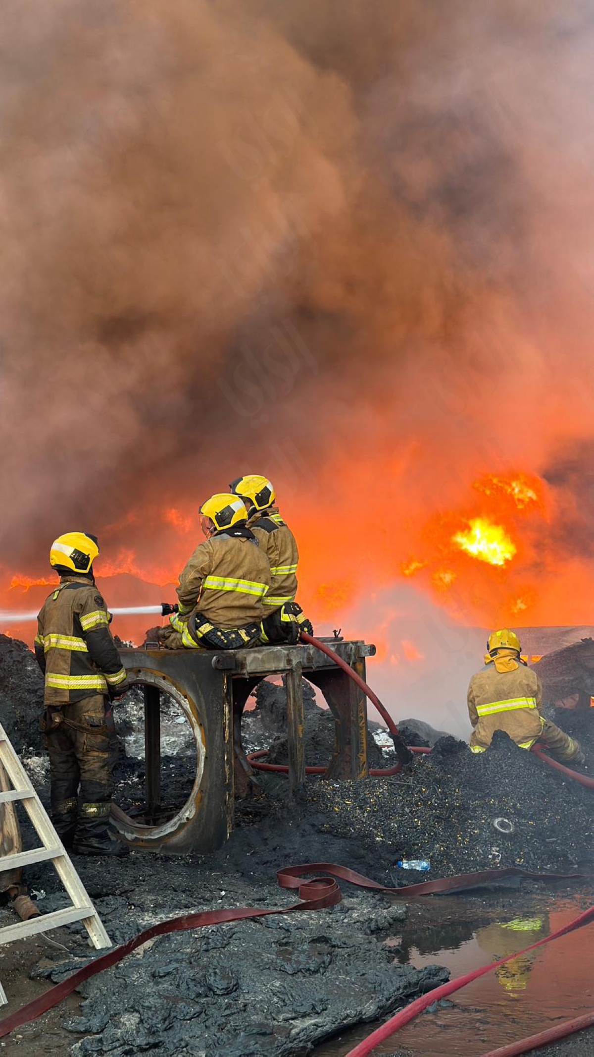 (تصوير أسعد عبدالله)