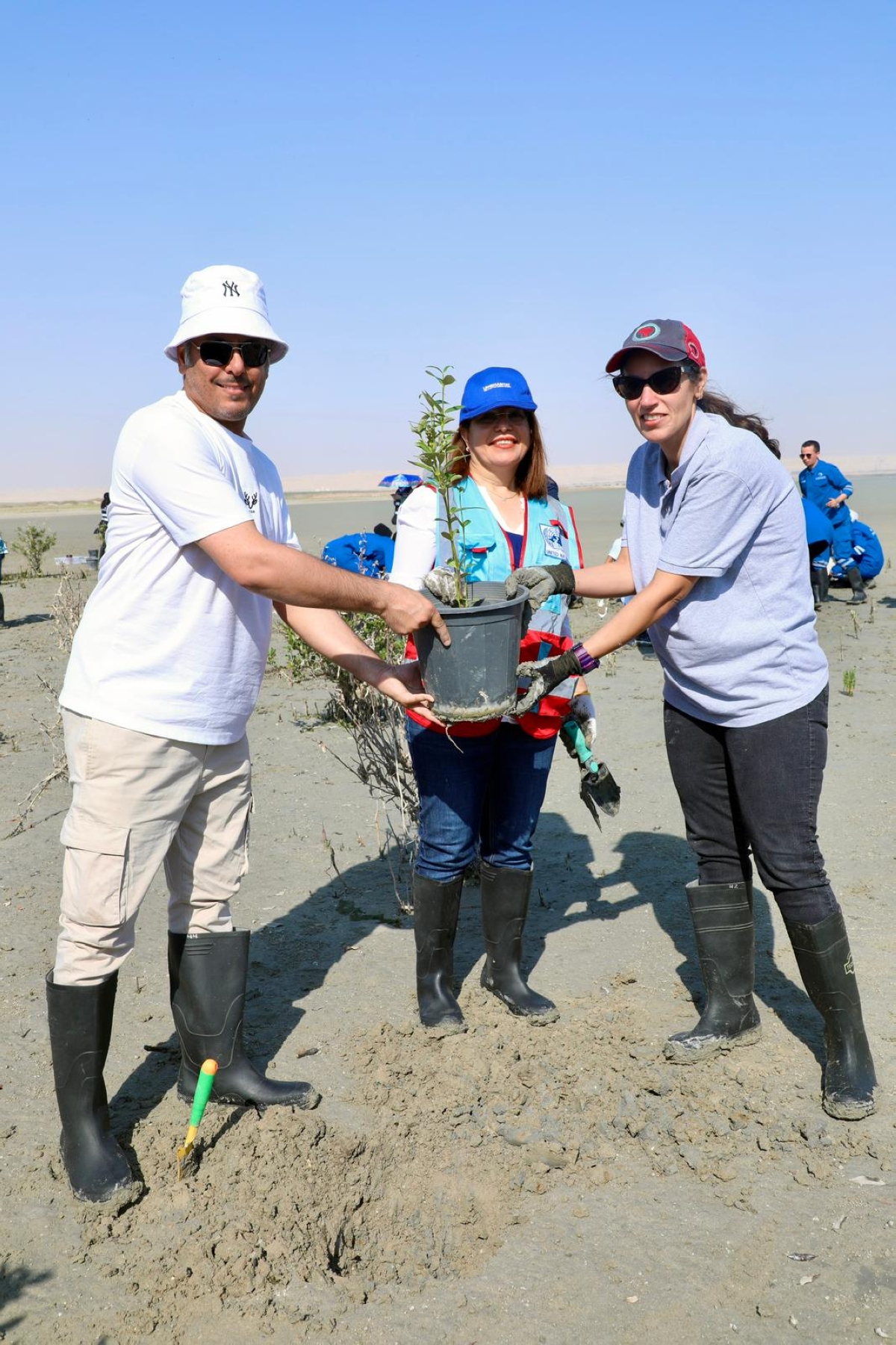 جانب من مبادرة استزراع المانغروف 