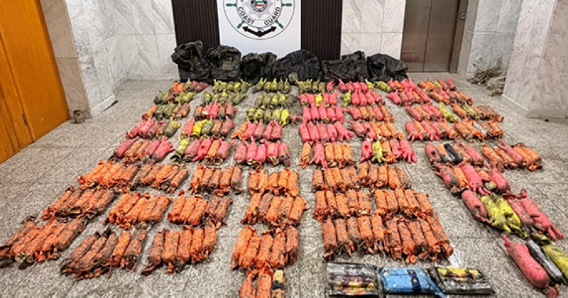 ضبط كمية كبيرة من المخدرات والمؤثرات العقلية في قاع البحر