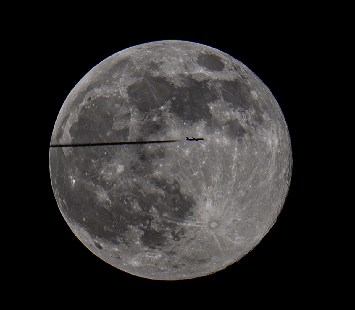 طائرة تشق طريقها أمام القمر الأكبر في سماء البلاد   (تصوير أسعد عبدالله)