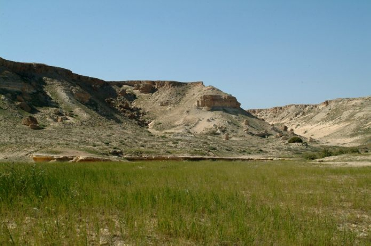 مطلوب الحفاظ على بيئة البر وتنوّعها النباتي