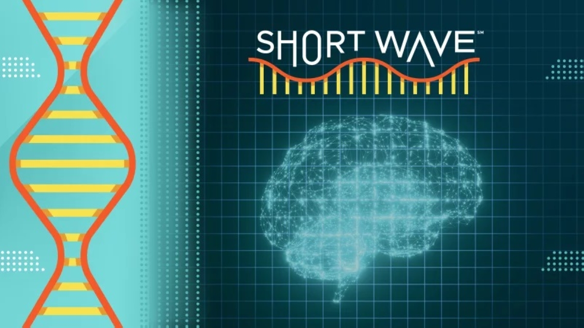 التمارين الرياضية الذهنية والبدنية تساعد في مكافحة تدهور الوظائف الإدراكية 