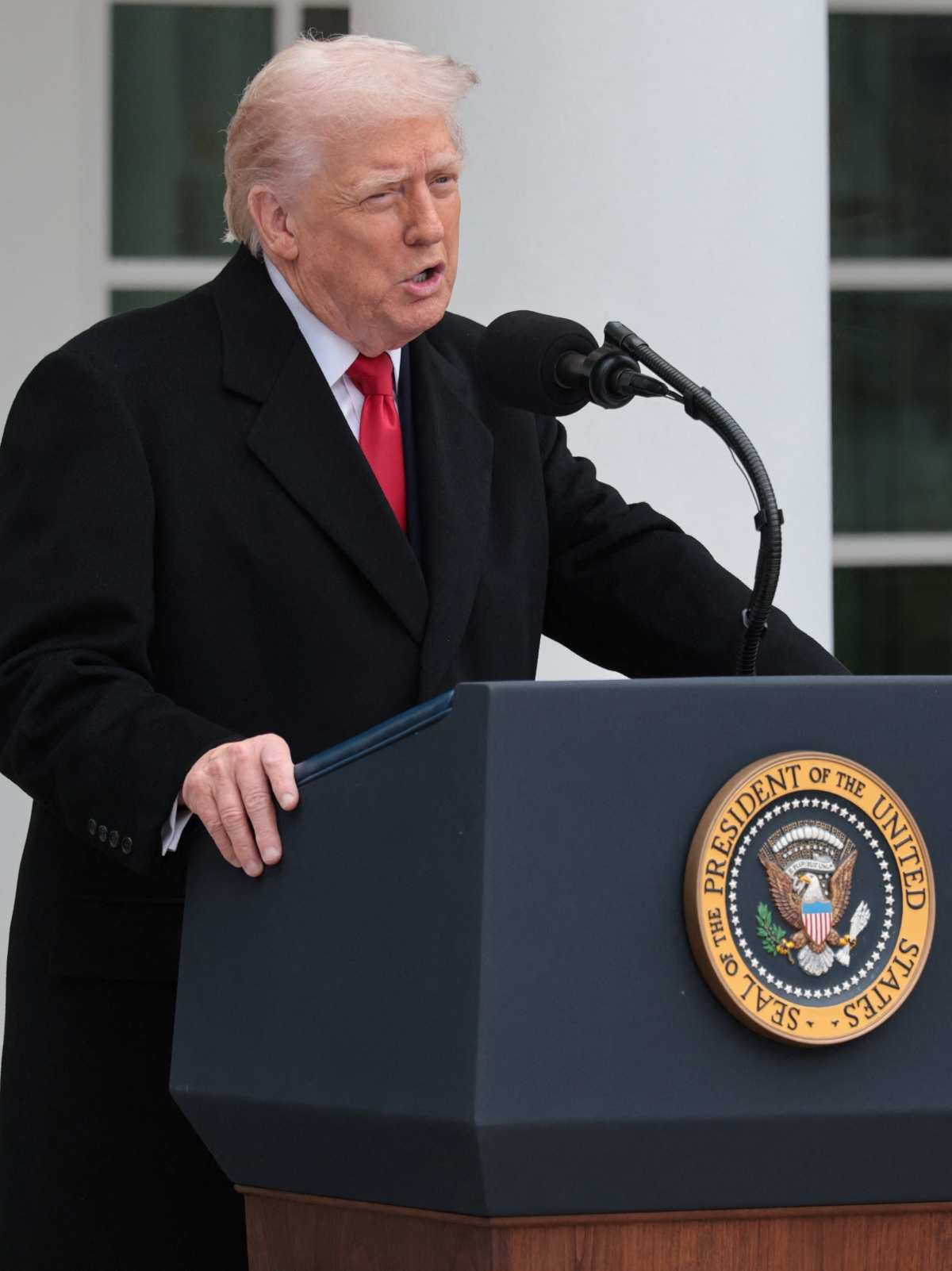 ترامب                     (رويترز)