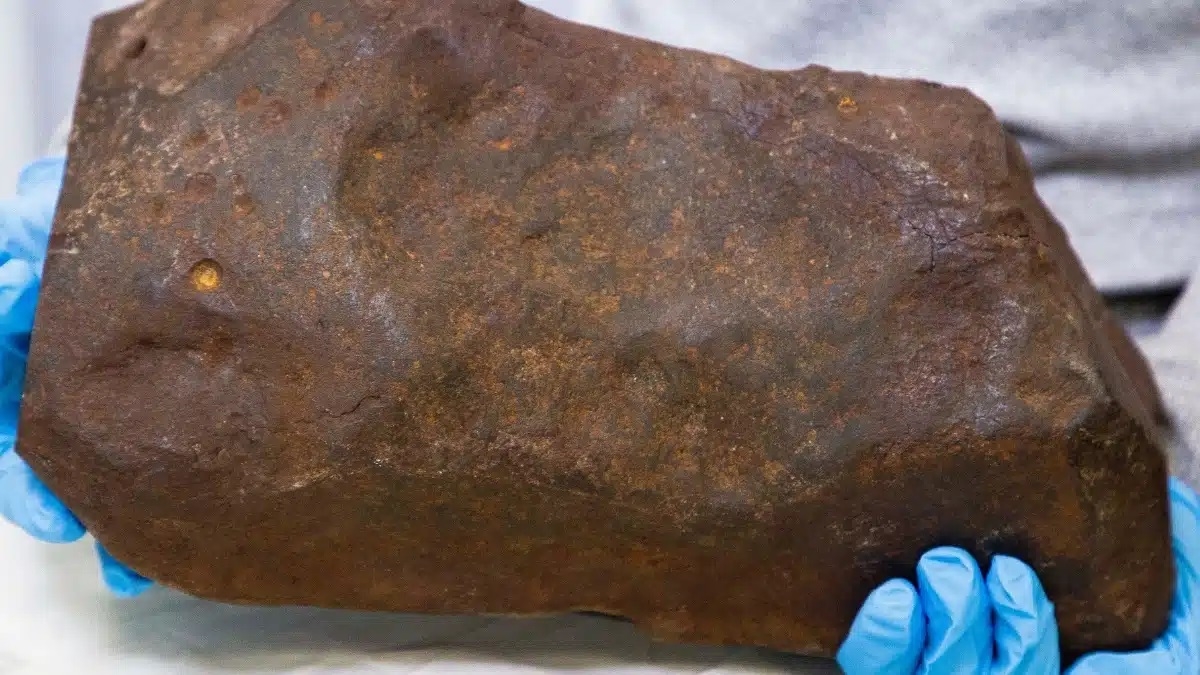 «نيزك ميريبورو»