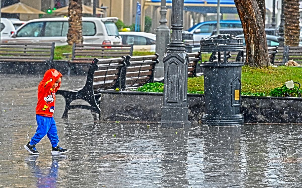 براءة تعانق المطر  (تصوير سعود سالم)