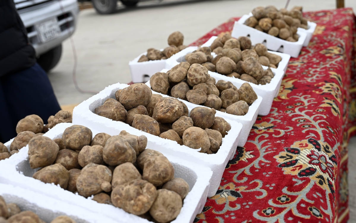 بداية مبشّرة   (تصوير سعود سالم) 